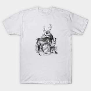 Deer Vintage Illustration T-Shirt